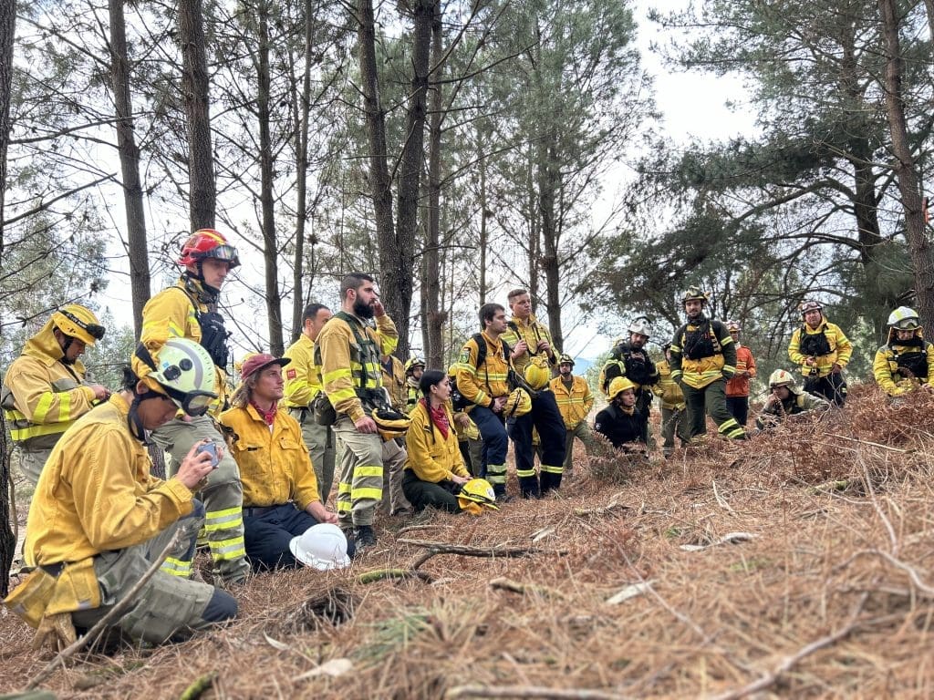 @fire - Internationaler Katastrophenschutz Feuerökologie Portugal